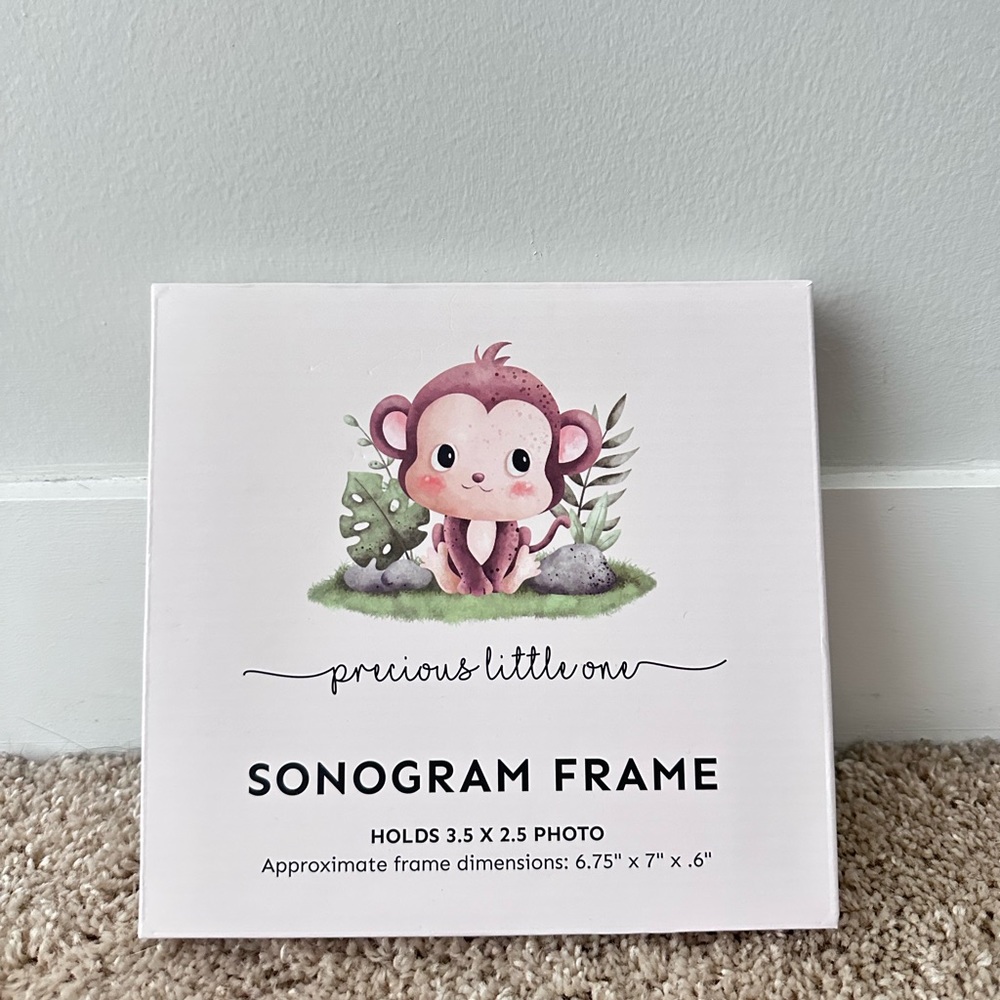 Sonogram Frame